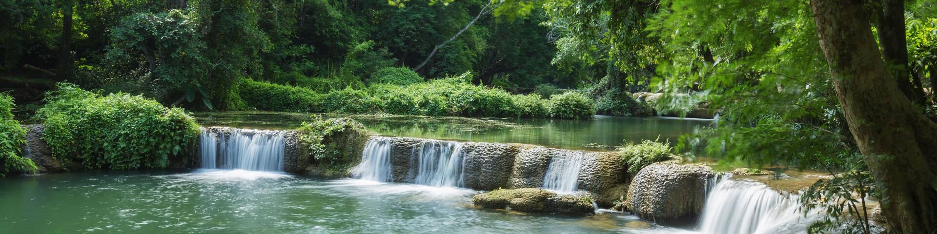 Una cascada en un bosque verde y frondoso.