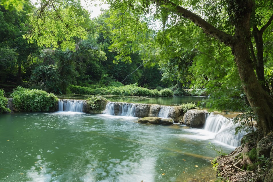 Una cascada en un bosque verde y frondoso.