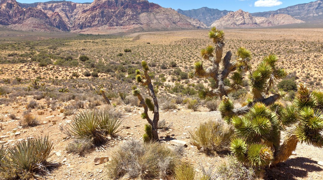Red Rock Canyon Visitor Center