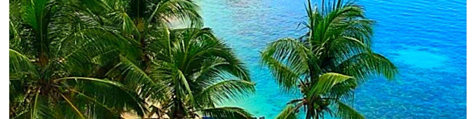 Una playa con palmeras y agua azul cristalina.