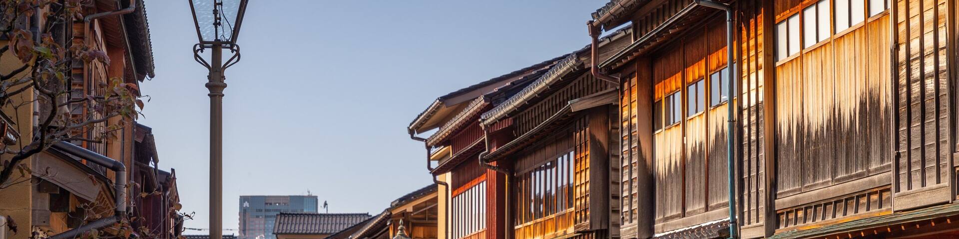 Higashiyama Higashi Chaya District showing street scenes