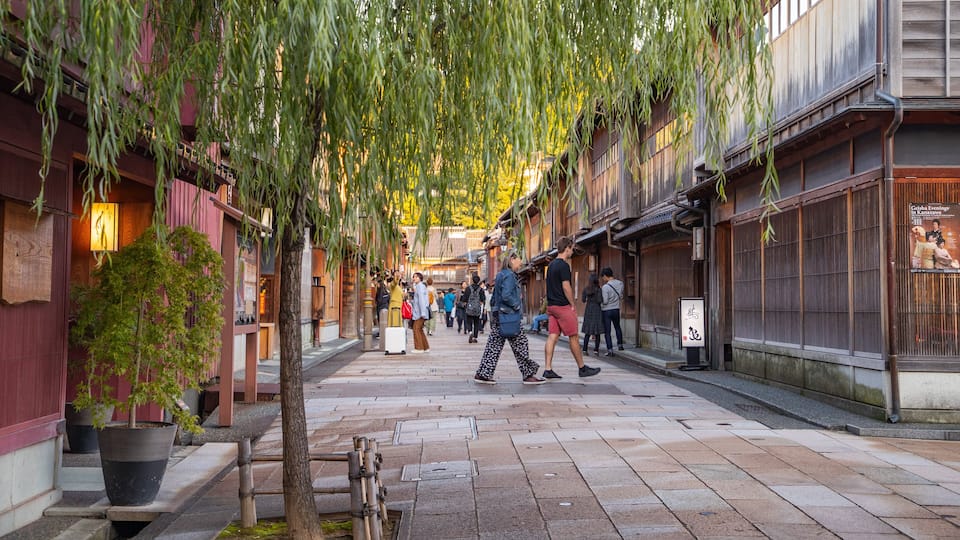 Higashiyama Higashi Chaya District showing street scenes
