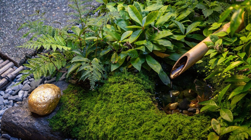 Higashiyama Higashi Chaya District featuring a fountain