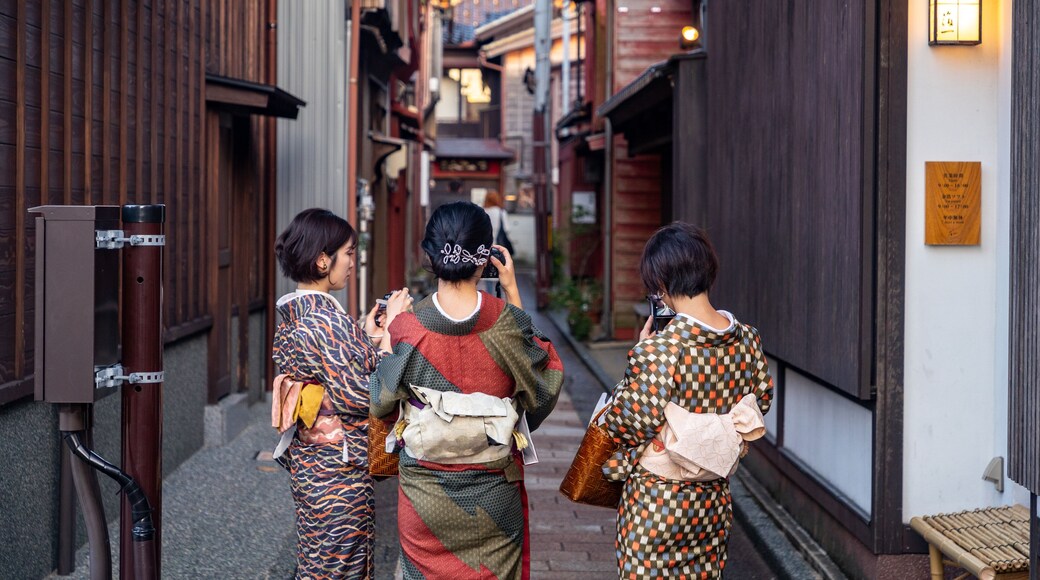 Higashiyama Higashi Chaya District featuring street scenes as well as a small group of people