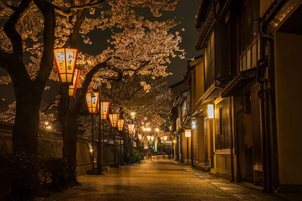 金沢・主計町茶屋街の夜と桜