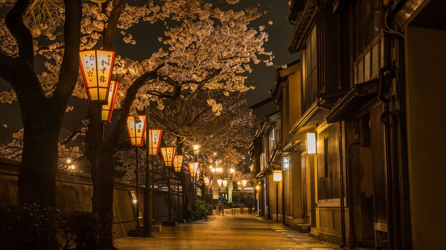 金沢・主計町茶屋街の夜と桜