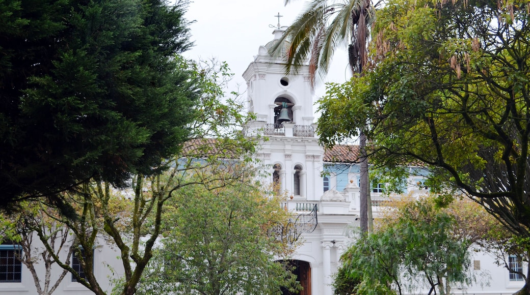 Cuenca, Ecuador - Catedral Viejo