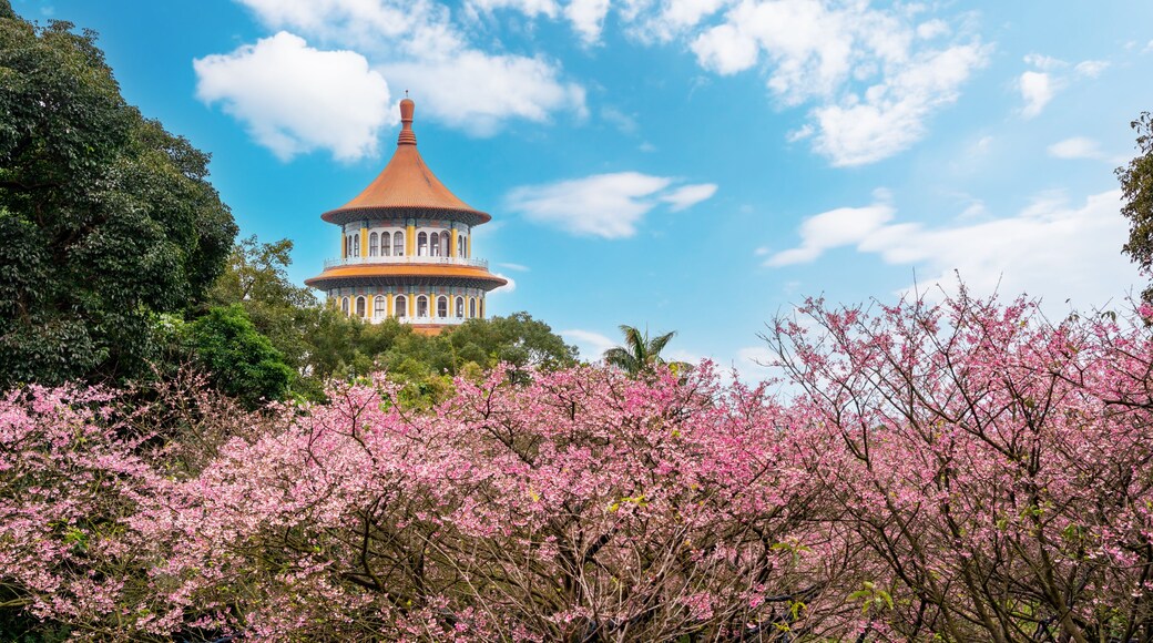 Temple taoĂŻste Wuji Tianyuan
