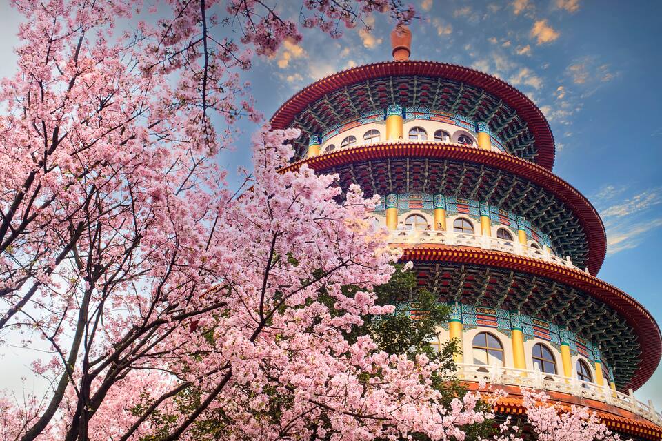 A traditional multi-tiered pagoda with ornate blue and gold detailing, surrounded by cherry blossoms.
