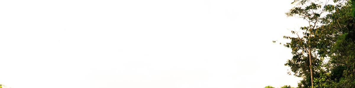 Reflejo de montañas y arboles en el agua de una represa en Colombia con un puente al fondo