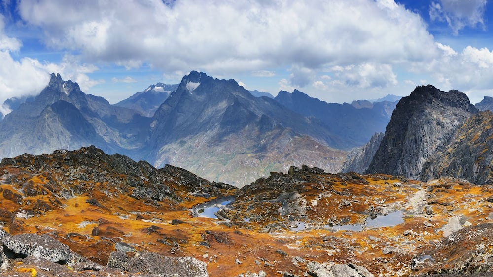 A moss covered plateau with small water ponds. Weismanns peak summit in Rwenzori Mountains National Park, Uganda.