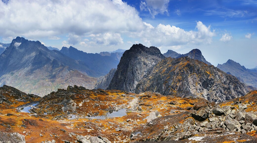 A moss covered plateau with small water ponds. Weismanns peak summit in Rwenzori Mountains National Park, Uganda.