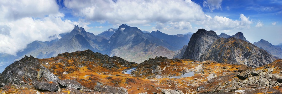 A moss covered plateau with small water ponds. Weismanns peak summit in Rwenzori Mountains National Park, Uganda.