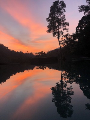 Nice sunset in Sinharaja Forest Gate