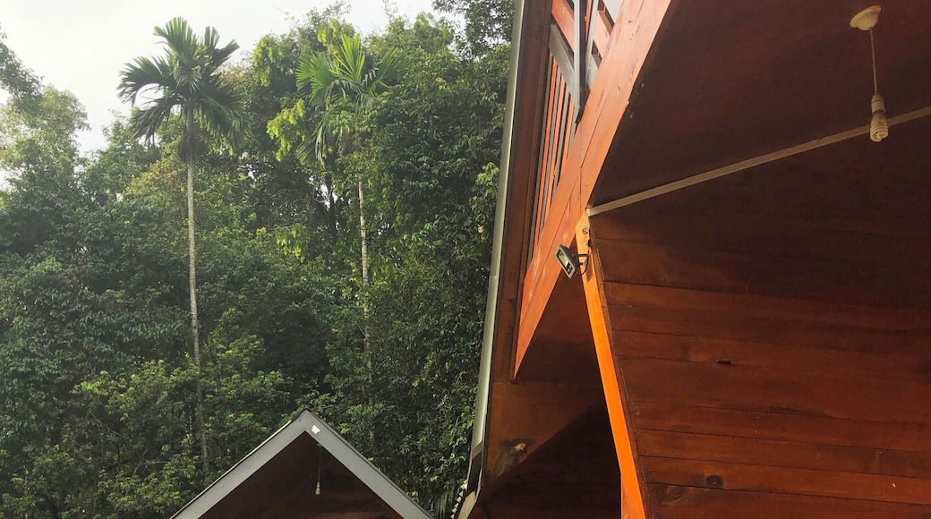 Nice cosy accommodation near the entrance of the UNESCO site, Sinharaja Rainforest in Sri Lanka