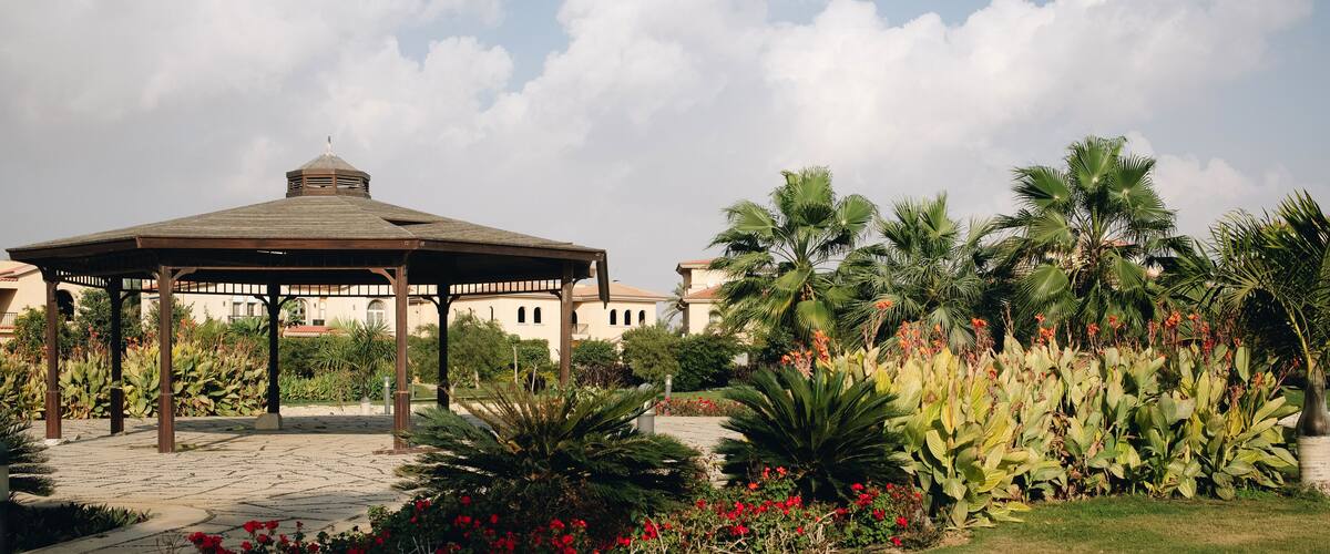 New Cairo, Egypt - 11.21.2021: Beautiful flower bushes and garden house at villas area of Madinaty compound, luxury living in Egypt