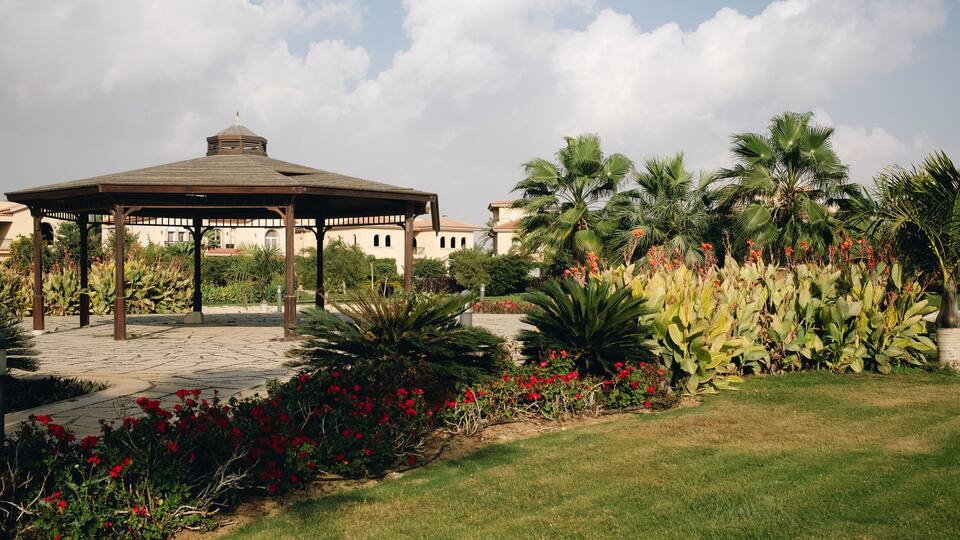 New Cairo, Egypt - 11.21.2021: Beautiful flower bushes and garden house at villas area of Madinaty compound, luxury living in Egypt