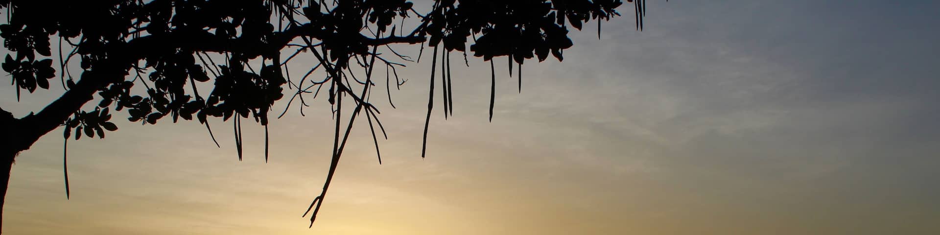 Sunset in Kenya - Mida Creek in Watamu
