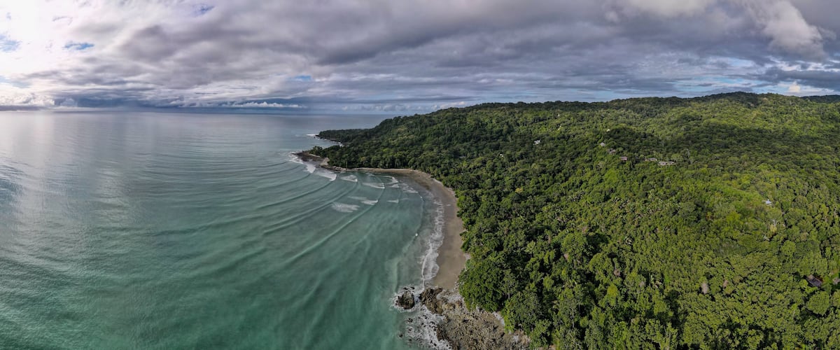 A coastal landscape with a beach, ocean, and dense forest.