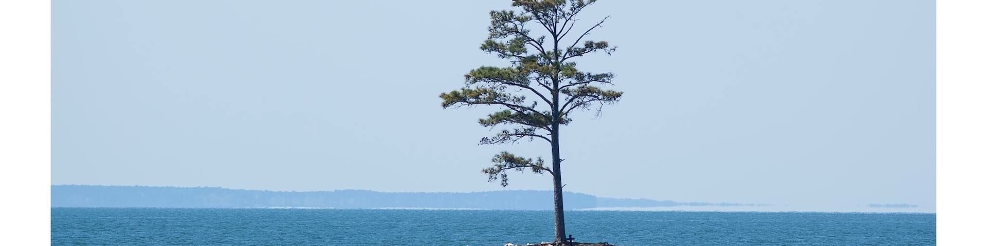 The fun this lake has to offer all year round, as a tourism guy, I love it here.
