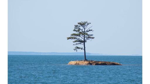 The fun this lake has to offer all year round, as a tourism guy, I love it here.
