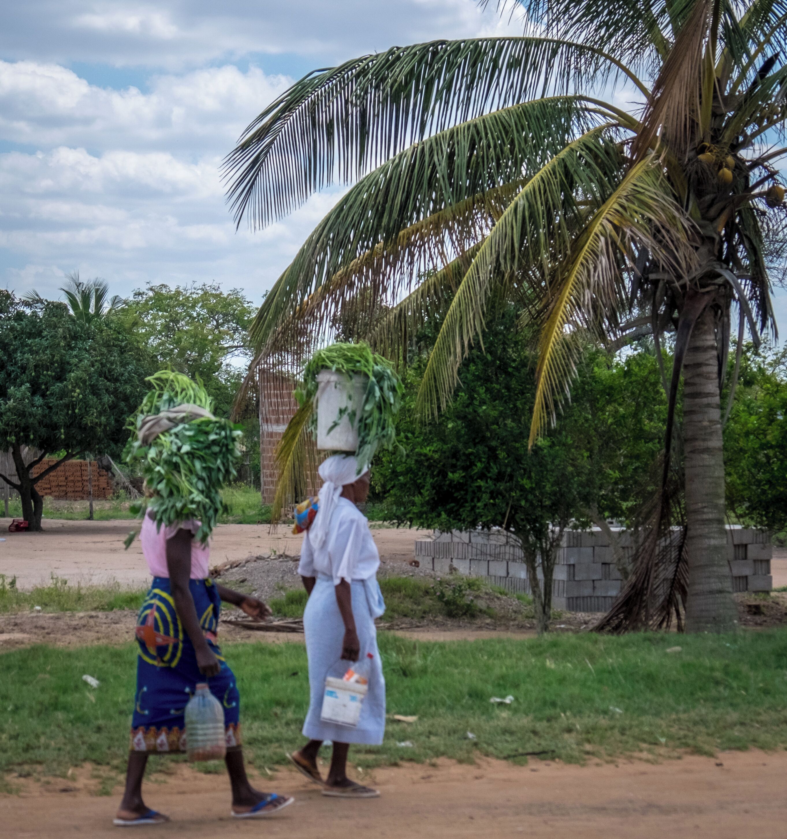 Two people carrying large loads on their heads, walking past a palm tree and a brick wall.