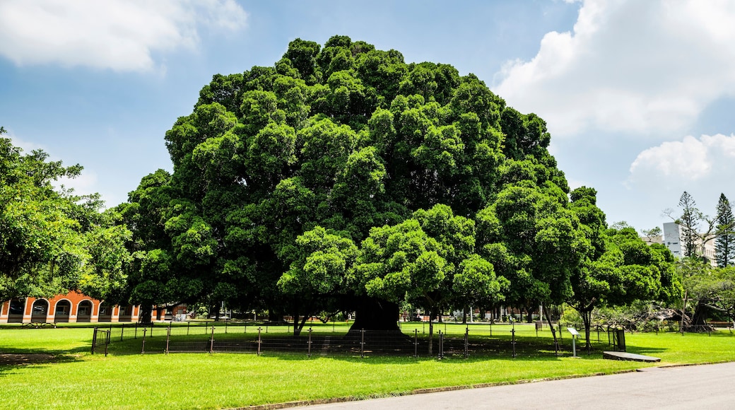 Universidad Nacional del Deporte de Taiwán