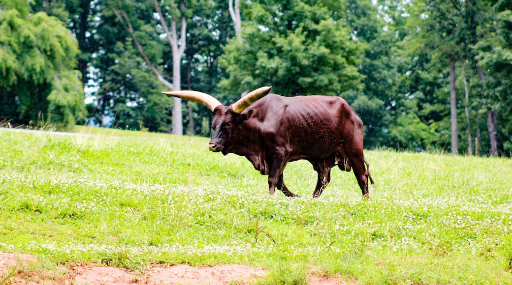 Nature mother 💚😍