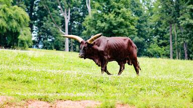 Nature mother 💚😍