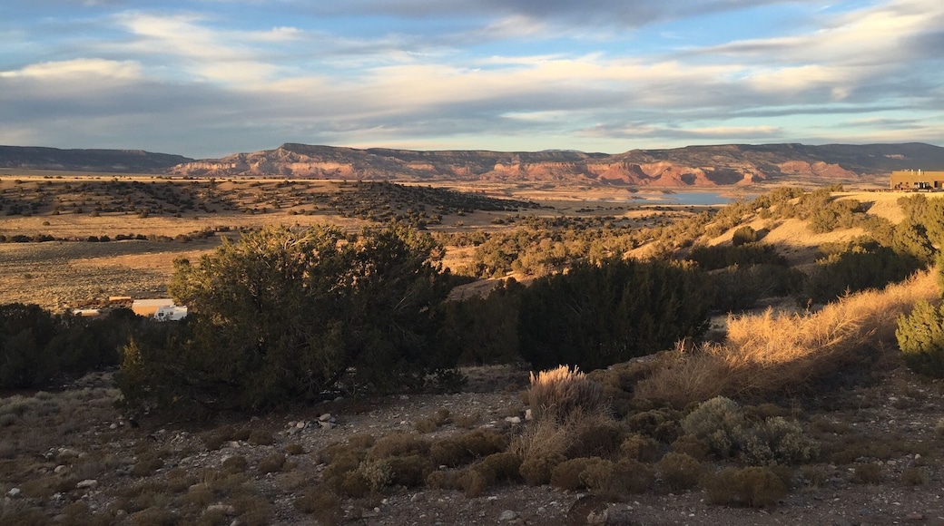 Nestled on a plateau between the Carson National Forest and the Jemez National Recreation Area, is the town on Abiquiu New Mexico. Mostly famous for The Ghost Ranch #ghostranch , where Georgia O'Keeffe found most of her motivation for her paintings. She was also a friend of Ansel Adams. My favorite part of our stay was watching the weather patterns change and hearing the coyotes howl at each other all the way up and down the canyon . #nationalpark