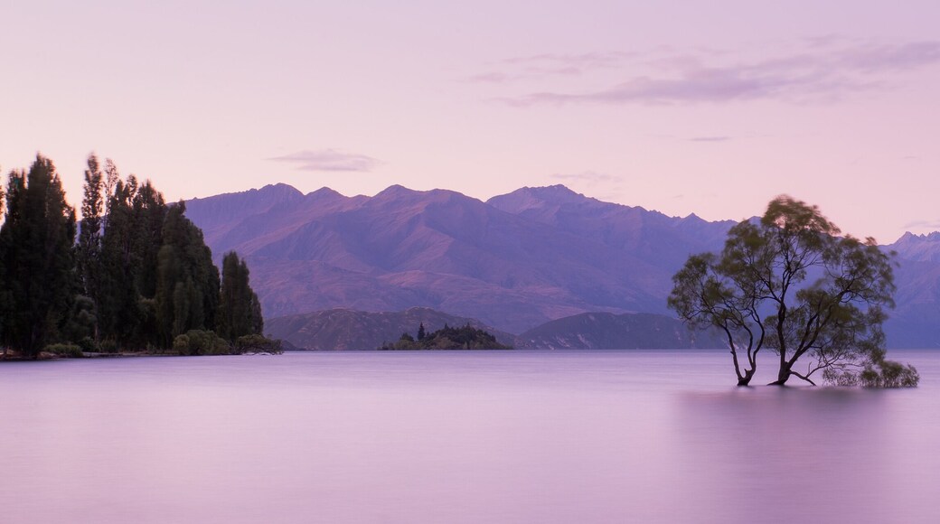 Districte de Queenstown Lakes