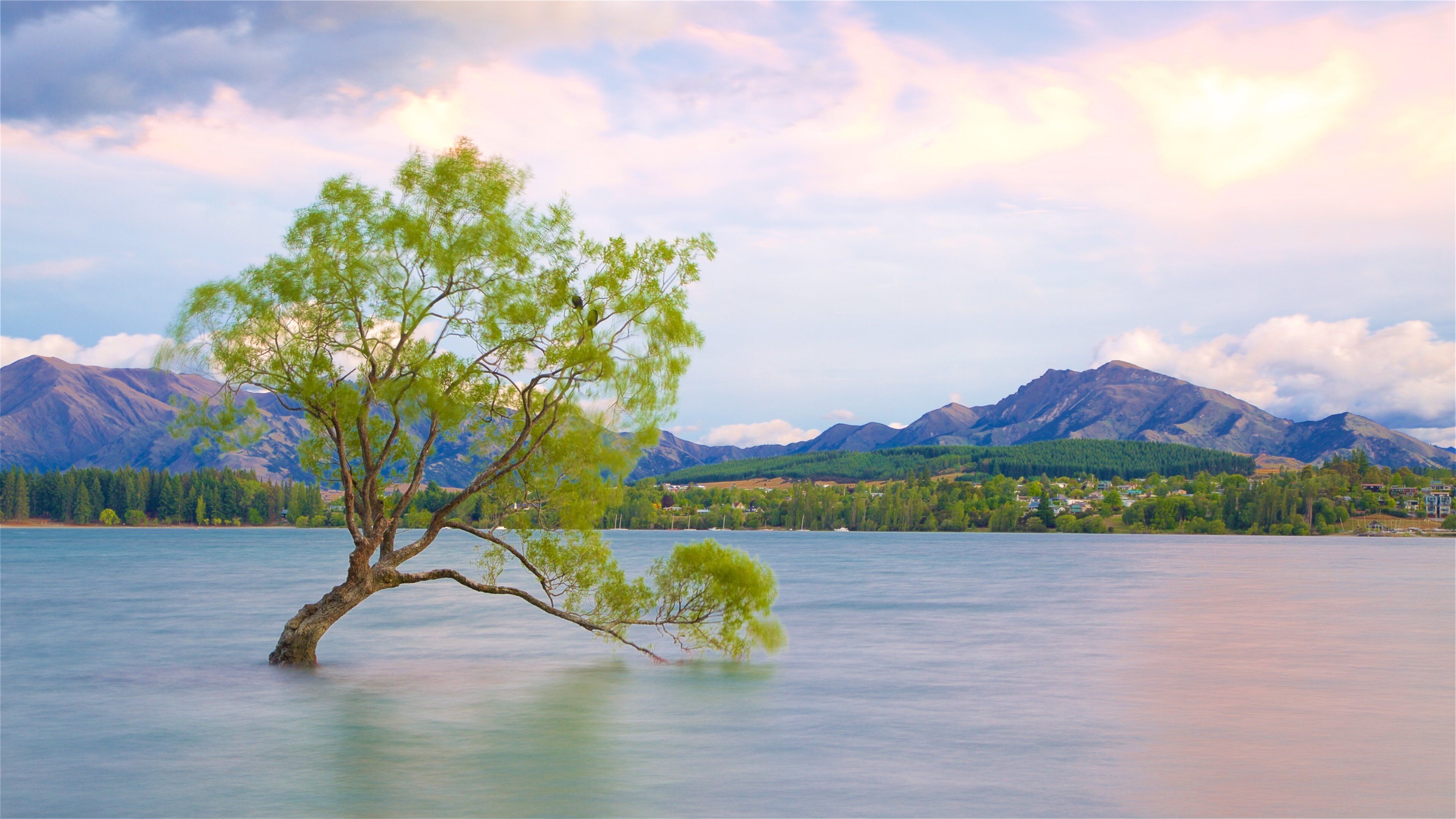 Lake Wanaka which includes a lake or waterhole, tranquil scenes and a sunset