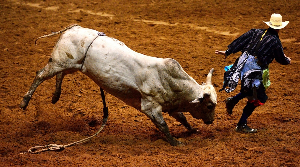 Quartier historique de Fort Worth Stockyards