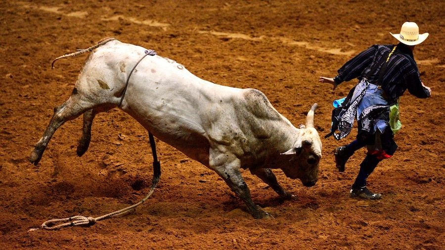 Distrito histórico de Fort Worth Stockyards