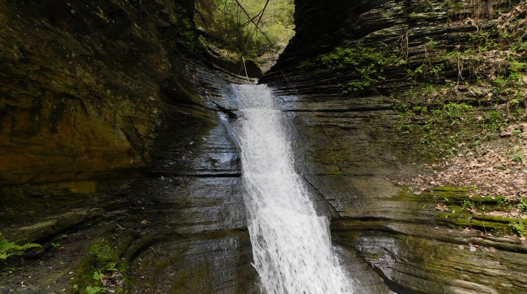 Cascade at Clark's Gully
#Localsecrets
#Mybackyard
