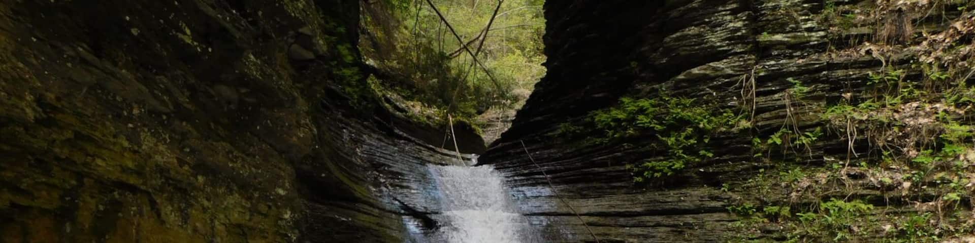 Cascade at Clark's Gully
#Localsecrets
#Mybackyard