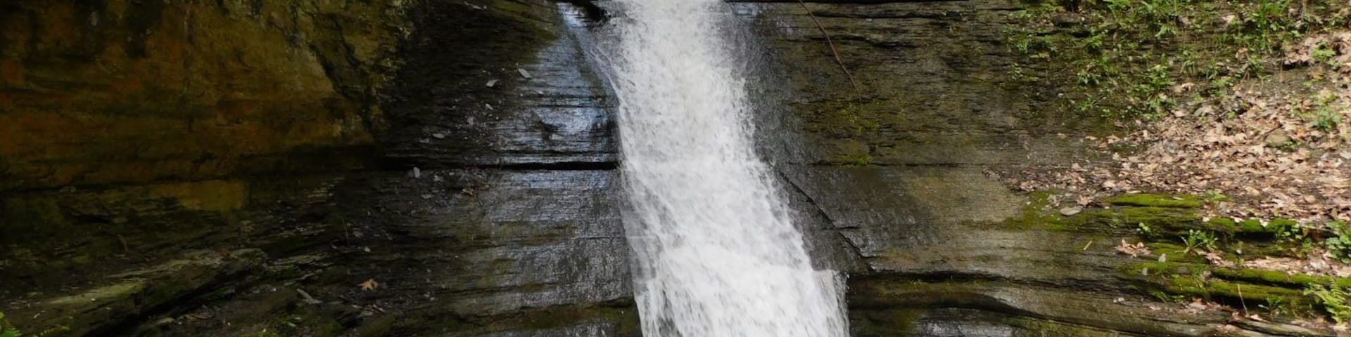 Cascade at Clark's Gully
#Localsecrets
#Mybackyard
