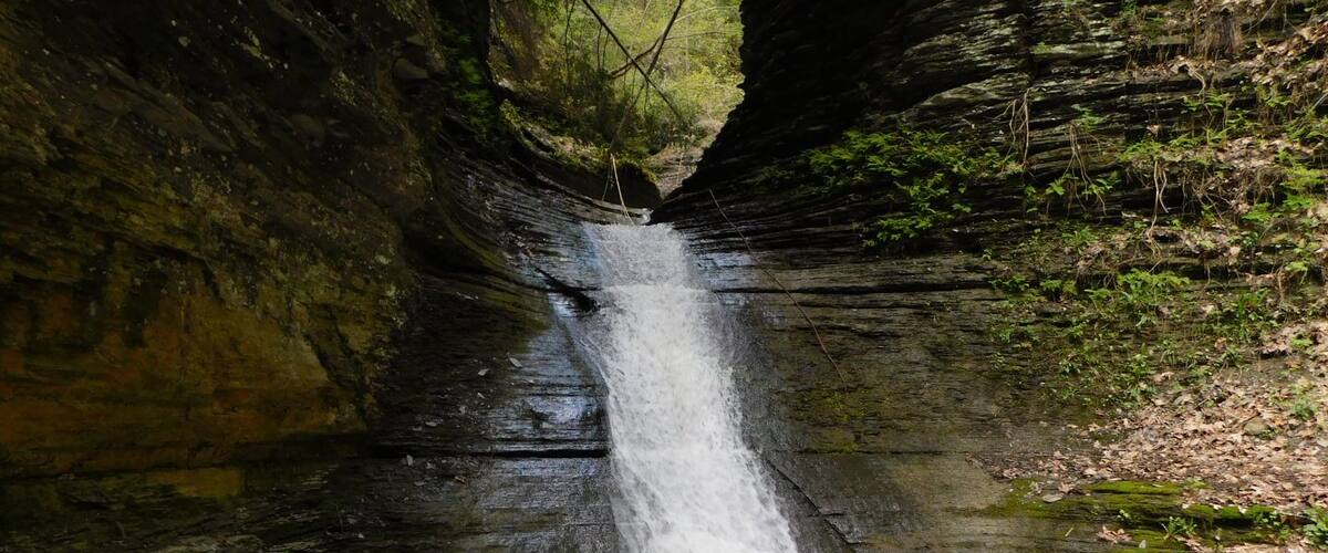 A waterfall cascading through a narrow rock formation surrounded by greenery.