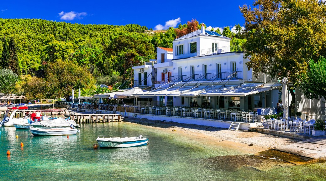 アグノンタス ビーチ