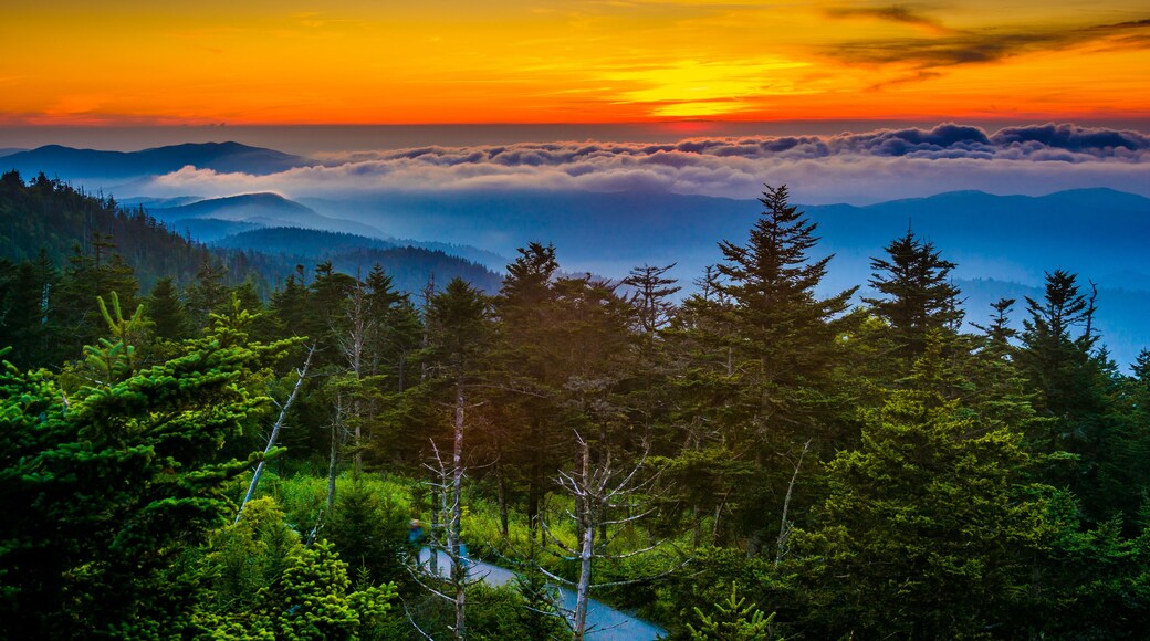 Sunset over mountains and fog from Clingman's Dome Observation T