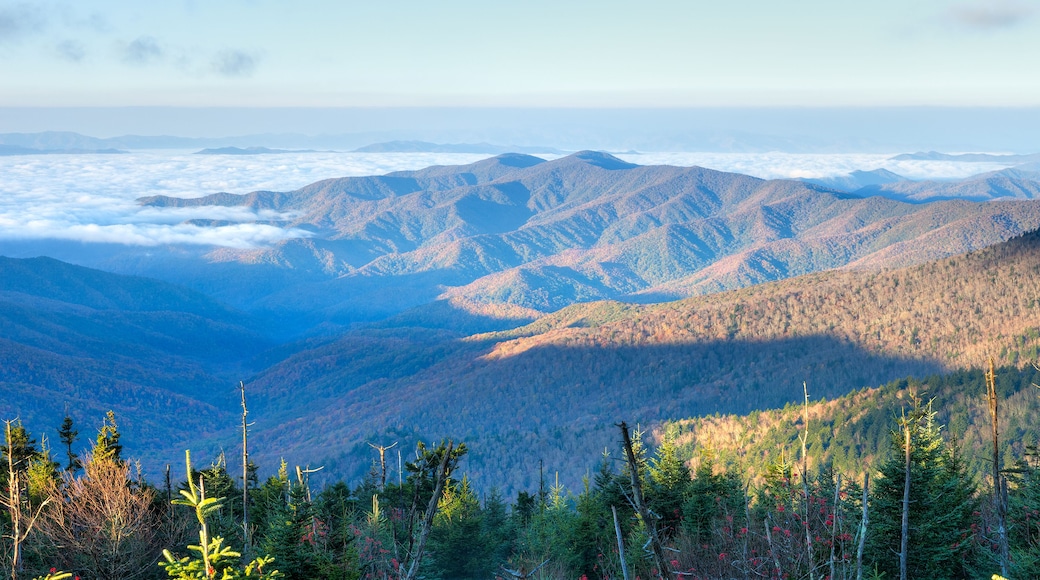 Great Smoky Mountains at sun rise, with clouds in valley