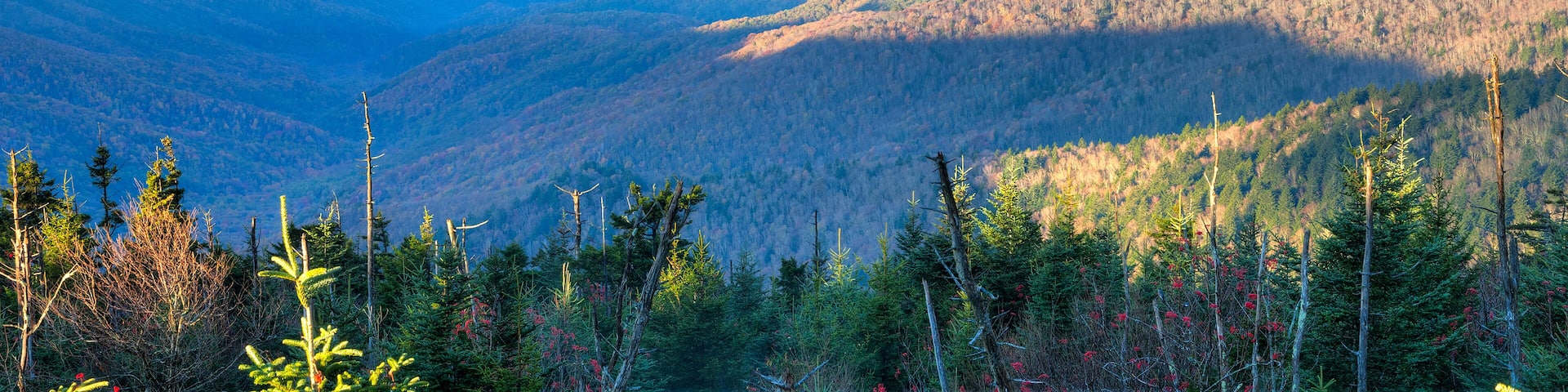 Great Smoky Mountains at sun rise, with clouds in valley
