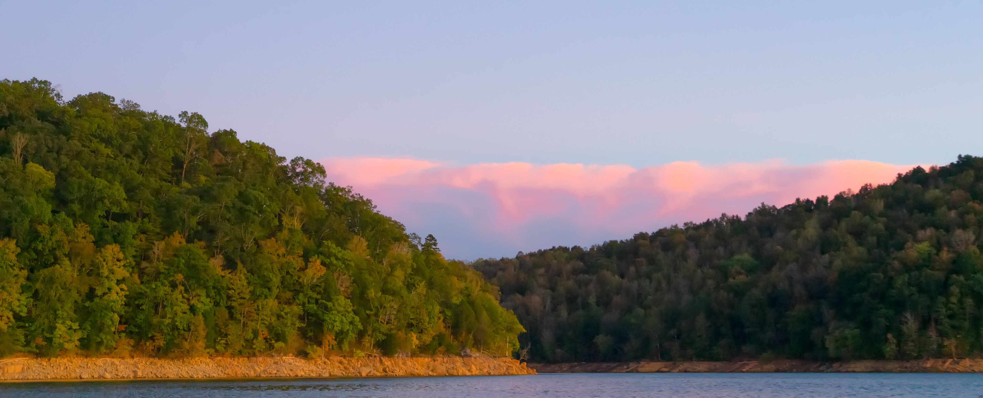 A forested hillside with a body of water in the foreground.