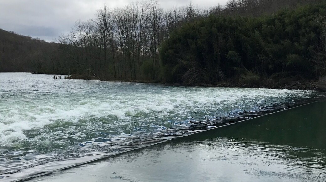 Watching this breathtaking