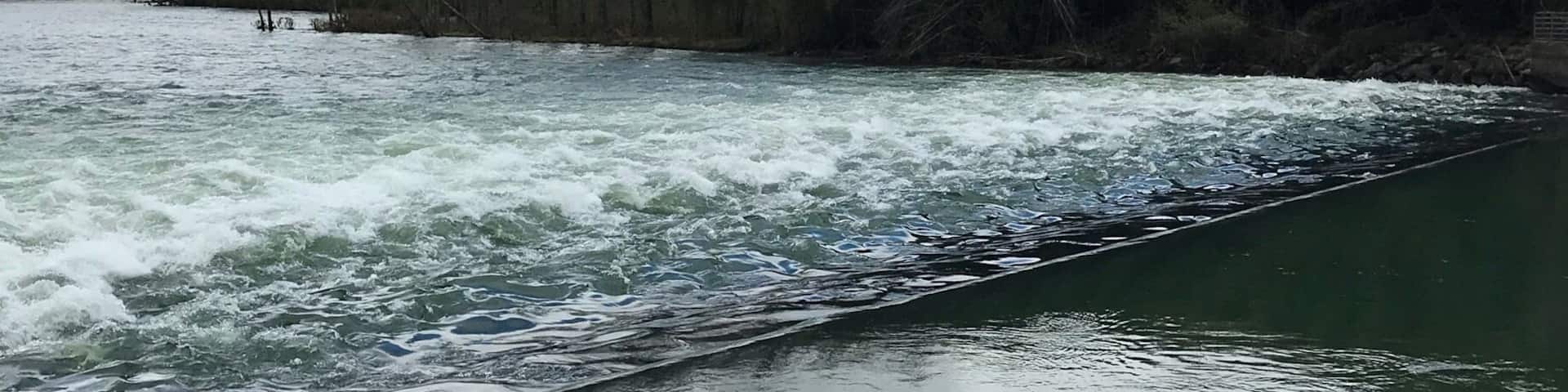 Watching this breathtaking