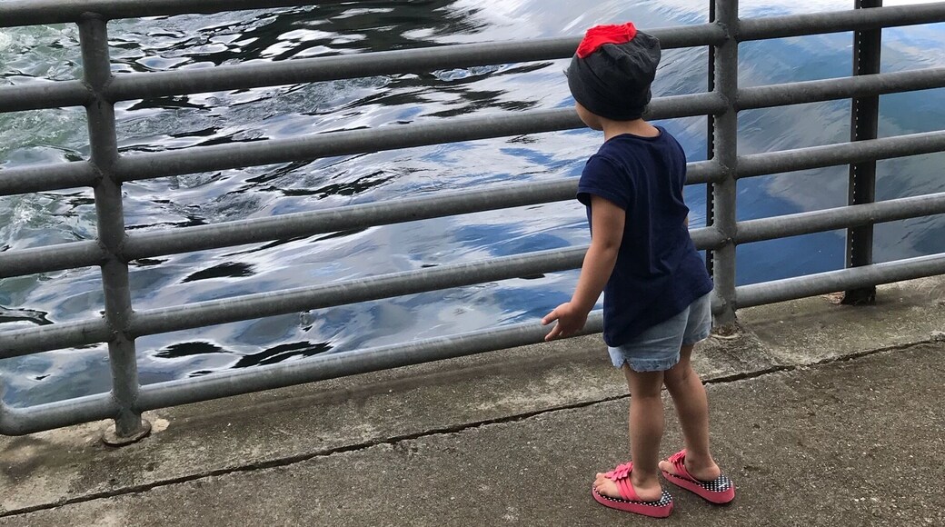 ๐ฎ even though I scared from watching water flow like this but I enjoyed