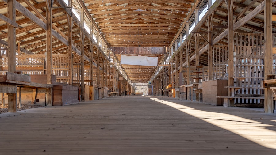 Empty open air farmers market wooden stalls within a pavilion on a bright sunny day.