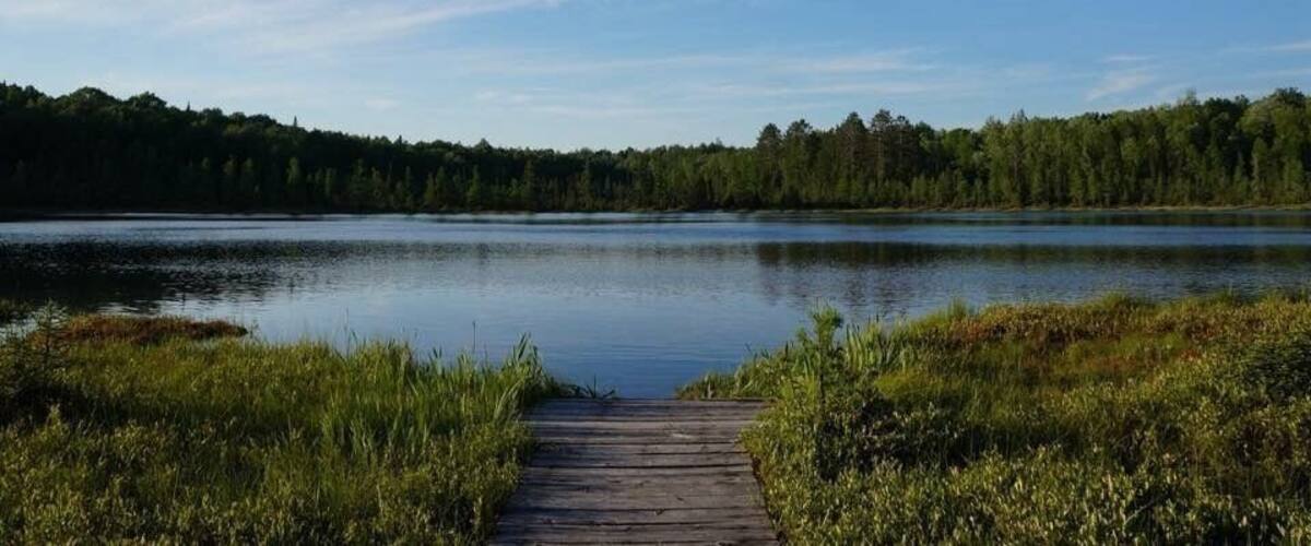 A wooden dock leading into a calm lake surrounded by dense forest.