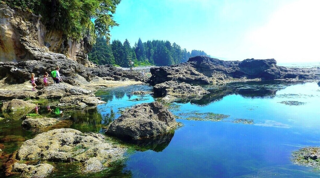 Checking out the tide pools at Botanical Beach - each pool is like a mini aquarium!