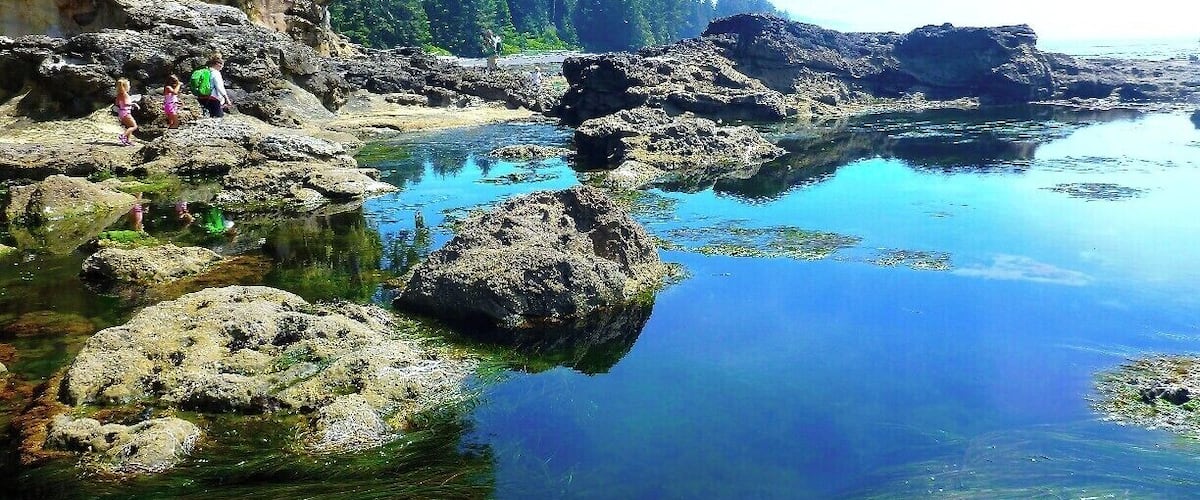 Una costa rocciosa con acque limpide e vegetazione.